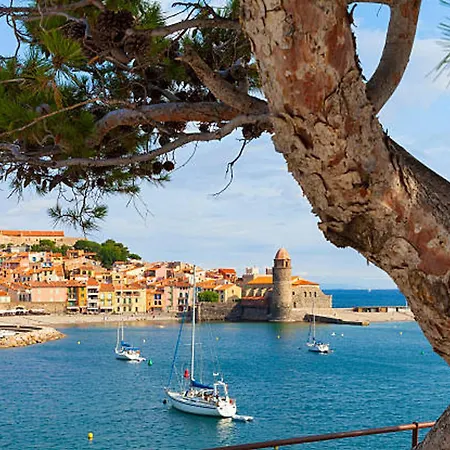T2 Climatise Avec Jardin Proche - Fr-1-732-97 * Argelès-sur-Mer
